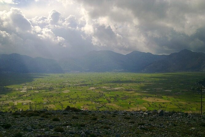 Knossos & Lasithi Plateau: Zeus Cave,Villages, Olive Oil Tour - Omalia Olive Press: begin with Crete’s liquid gold