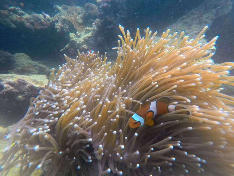 Koh Lanta: 4-Island Adventure Tour to Emerald Cave - The physical side of the day