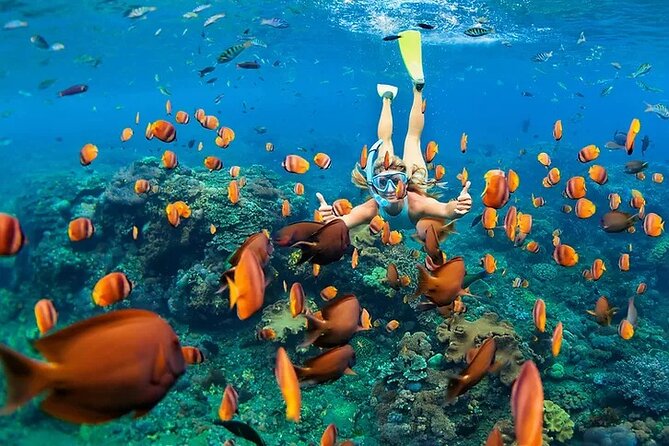 Kona Snorkel Tour: Captain Cook Reef Snorkel, Dolphin & Sea Caves - Why the Zodiac changes the Kona Coast outing