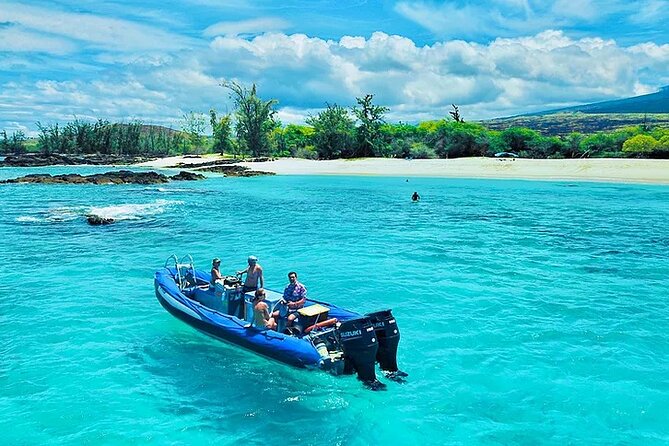 Kona Snorkel Tour: Captain Cook Reef Snorkel, Dolphin & Sea Caves - What the snorkeling is really like