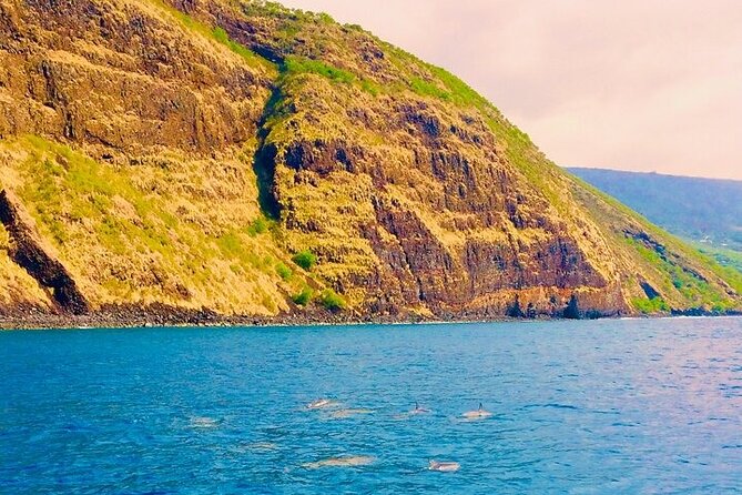 Kona Snorkel Tour: Captain Cook Reef Snorkel, Dolphin & Sea Caves - Sea caves, lava tubes, and the ride home