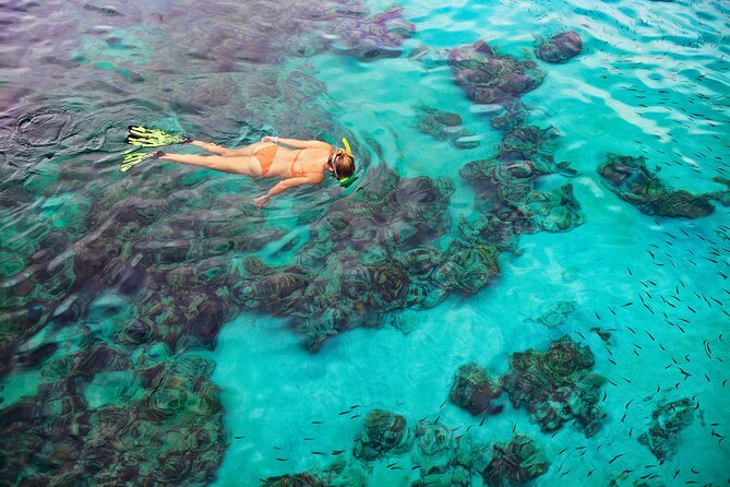 Kona Snorkel Tour: Captain Cook Reef Snorkel, Dolphin & Sea Caves - Food, gear, and what to bring