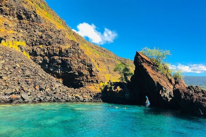 Kona Snorkel Tour: Captain Cook Reef Snorkel, Dolphin & Sea Caves - Price and value at $71.10