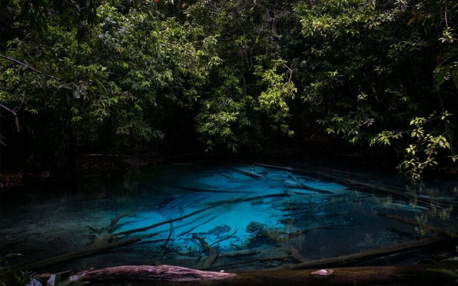 Krabi: Tiger Cave, Hot Springs and Emerald Pool Jungle Tour - The hot spring waterfall is a gentle start