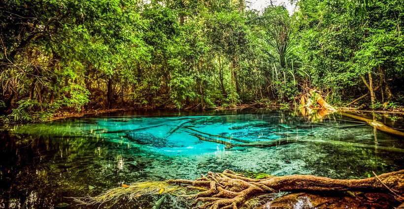 Krabi: Tiger Cave Temple, Emerald Pool and Hot Springs Tour - What to pack for comfort and safety