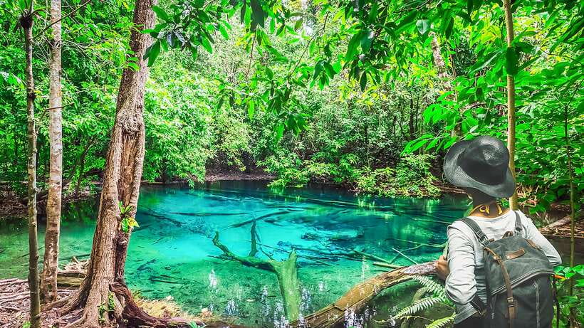 Krabi: Tiger Cave Temple, Emerald Pool and Hot Springs Tour - A full day from forest pools to a hilltop Buddha