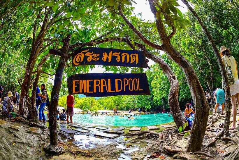 Krabi: Tiger Cave Temple, Emerald Pool and Hot Springs Tour - Lunch keeps the schedule moving