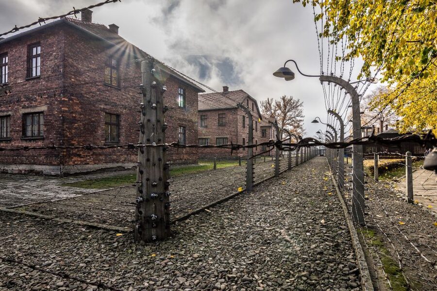 Kraków: Auschwitz-Birkenau & Salt Mine Full-Day Guided Tour - Who should choose this Kraków day trip