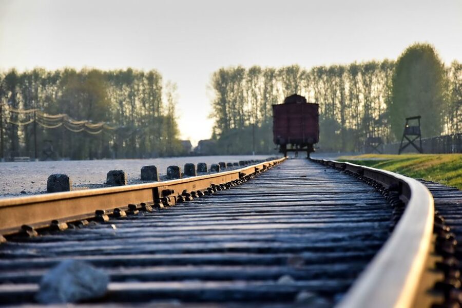 Kraków: Auschwitz-Birkenau & Salt Mine Full-Day Guided Tour - The early pickup sets the pace