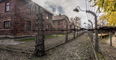 Kraków: Auschwitz-Birkenau & Salt Mine Full-Day Guided Tour