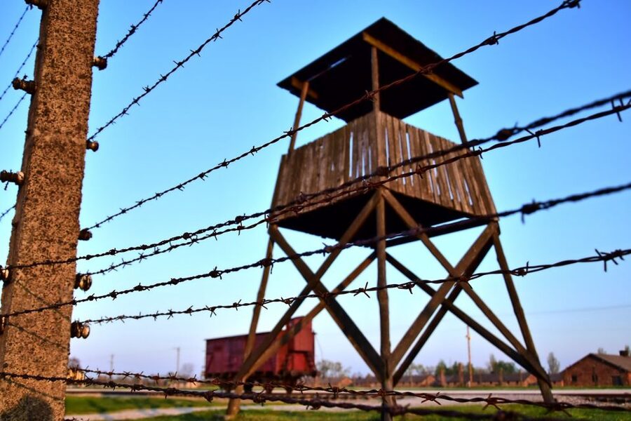 Kraków: Auschwitz-Birkenau & Salt Mine Full-Day Guided Tour - The transfer to Wieliczka creates a sharp contrast
