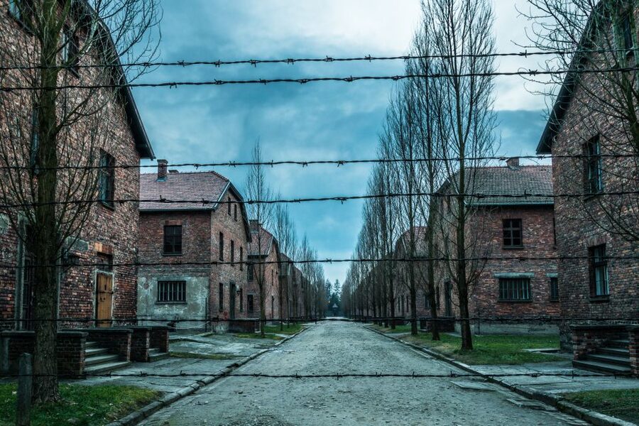 Kraków: Auschwitz-Birkenau & Salt Mine Full-Day Guided Tour - The practical rules are worth taking seriously