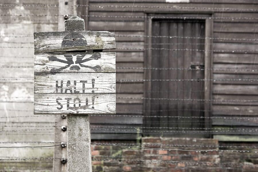Krakow: Auschwitz & Wieliczka Salt Mine Guided Day Tour - Is $54 good value?