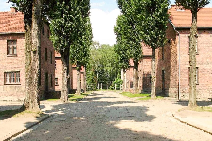 Krakow: Auschwitz & Wieliczka Salt Mine Guided Day Tour - Who will get the most from this tour?