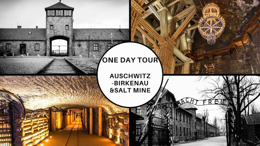 Krakow: Full-Day Auschwitz-Birkenau & Salt Mine Guided Tour - Key points to know before booking
