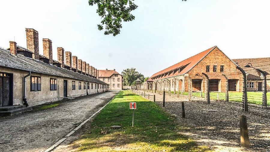 Krakow: Full-Day Auschwitz-Birkenau & Salt Mine Guided Tour - Going underground at Wieliczka Salt Mine