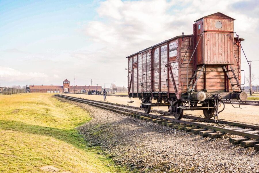 Krakow: Full-Day Auschwitz-Birkenau & Salt Mine Guided Tour - Transport, group size, and the pace of the day