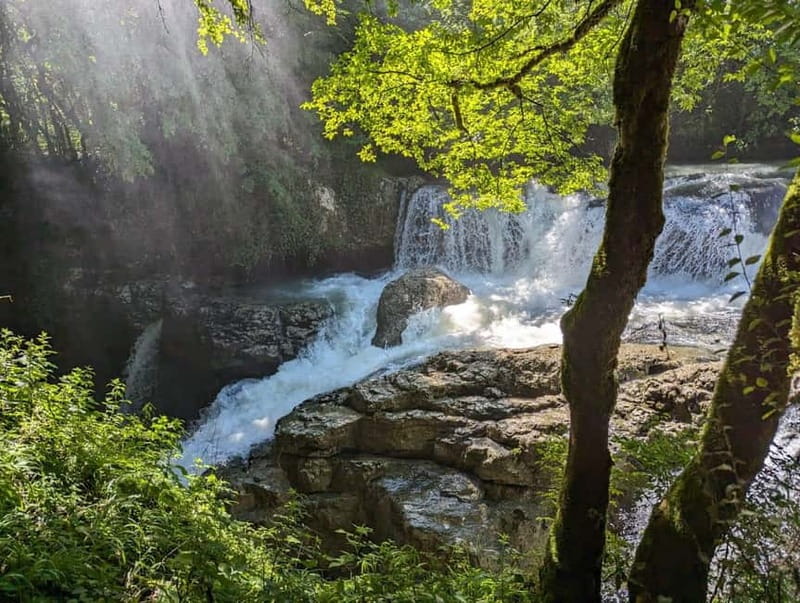 Kutaisi: Prometheus Cave & Martvili Canyon Guided Tours - Who will enjoy this outing most?
