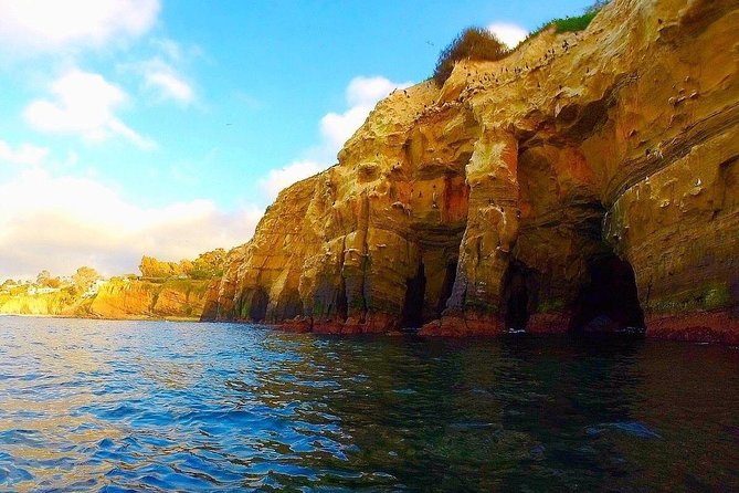 La Jolla Sea Caves Kayak Tour For Two (Tandem Kayak) - Quick takeaways from the La Jolla kayak tour