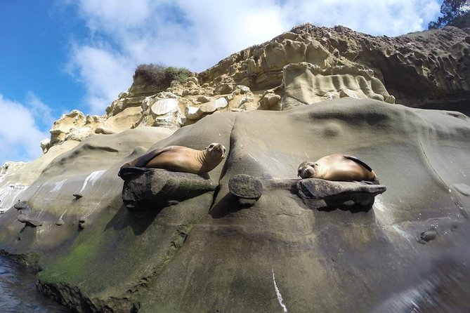 La Jolla Sea Caves Kayak Tour For Two (Tandem Kayak) - La Jolla Shores: the practical starting point