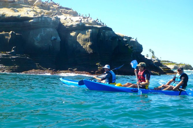 La Jolla Sea Caves Kayak Tour For Two (Tandem Kayak) - Wildlife around the reserve