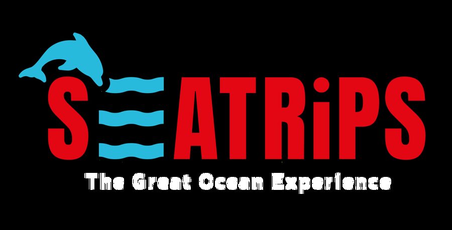 Lagos: Combo Dolphin and Benagil Tour with Marine Biologist - Two Algarve highlights in one 2.5-hour ride