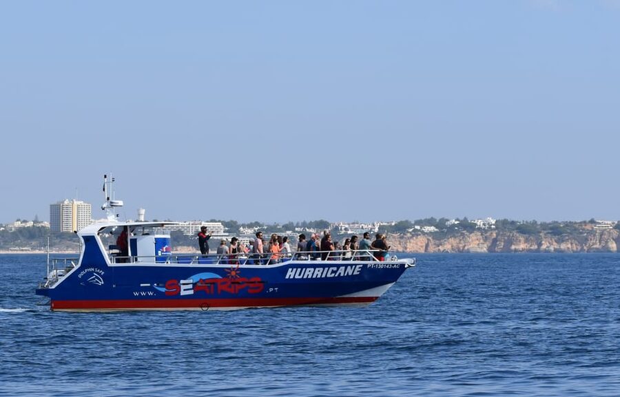 Lagos: Combo Dolphin and Benagil Tour with Marine Biologist - Booking, cancellation, and the final call