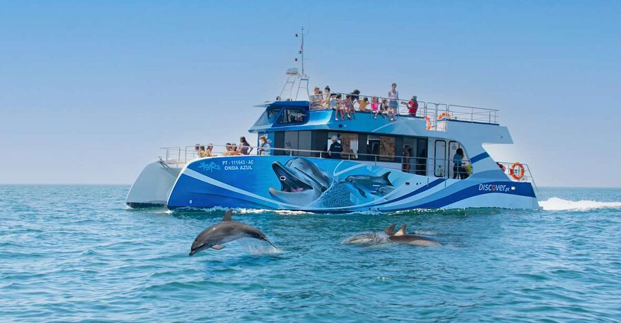 Lagos: Dolphins & Caves - Catamaran - Key points
