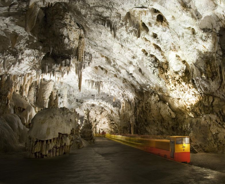 Ljubljana: Postojna Cave & Predjama Castle Tickets and Tour - The driver-guide can make or break the road time
