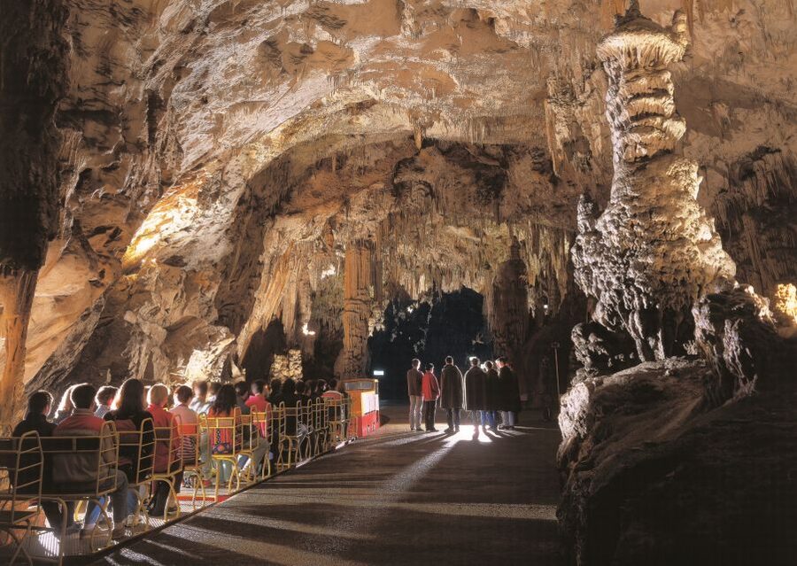 Ljubljana: Postojna Cave & Predjama Castle Tickets and Tour - What to bring and who should skip it