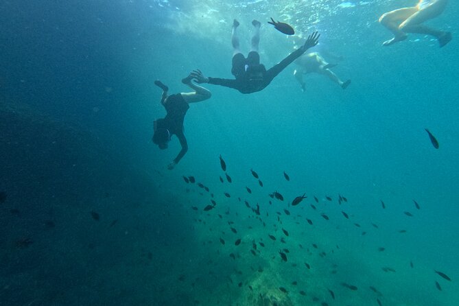 Mallorca: Kayaking, Sea Cave, Cliff Jumping & Snorkel Tour - Guides, humor, and the group atmosphere