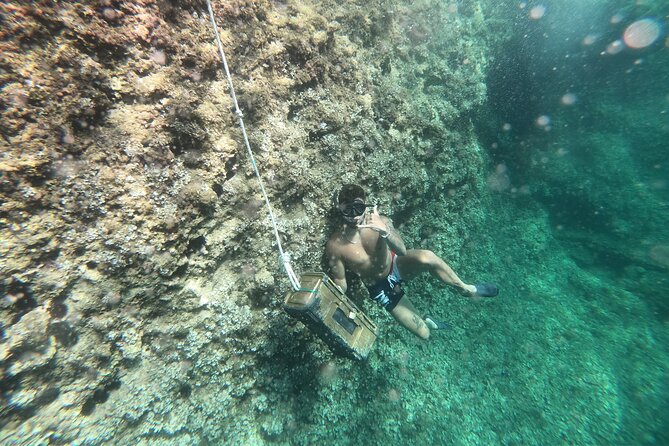 Mallorca: Kayaking, Sea Cave, Cliff Jumping & Snorkel Tour - Kayaking along Mallorca’s northern shore