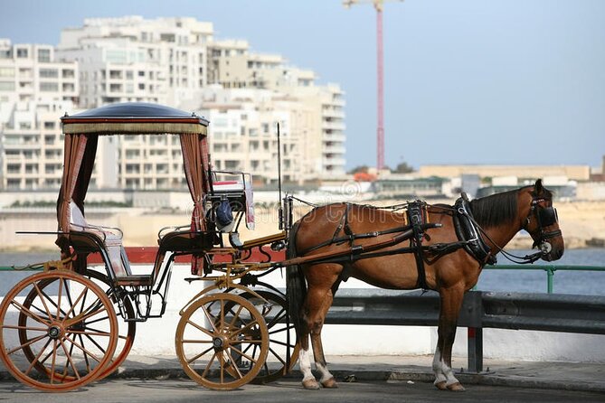 Malta Private tour: 5hr Mosta Dome, Mdina, Dingli Cliff's & Blue Grotto - What the driver-guide arrangement is really like