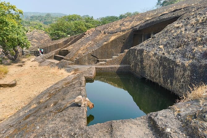 Mumbai Kanheri Caves & Golden Pagoda – A Buddhist Settlement - The guides and the pace of the day