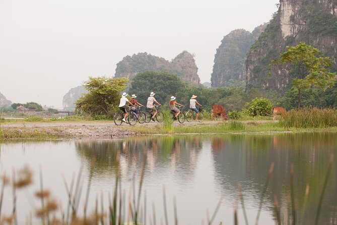 Ninh Binh Day Tour To Visit Hoa Lu - Trang An/Tam Coc - Mua Cave - Cycling through villages and rice fields