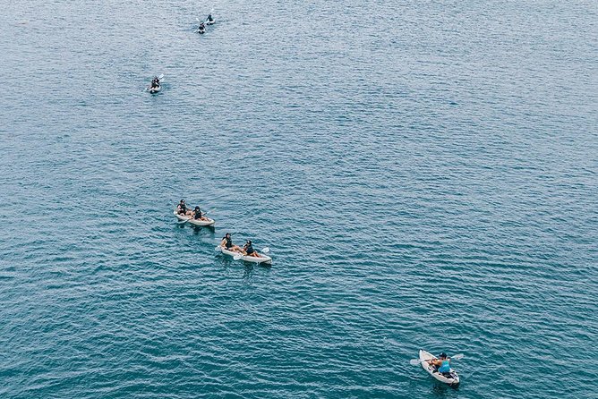 Original La Jolla Sea Cave Kayak Tour for Two - The Seven Sea Caves and Emerald Cave