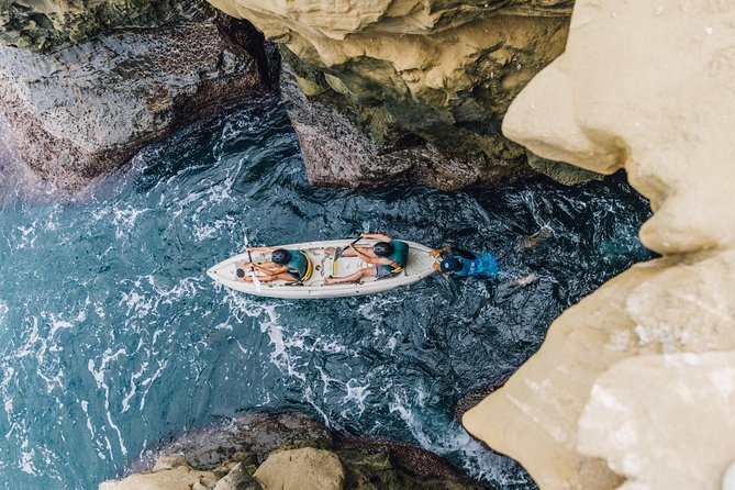 Original La Jolla Sea Cave Kayak Tour for Two - Wildlife, scenery, and the value of a guide