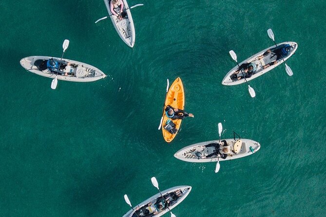Original La Jolla Sea Cave Kayak Tour for Two - From 2261 Avenida De La Playa to the water