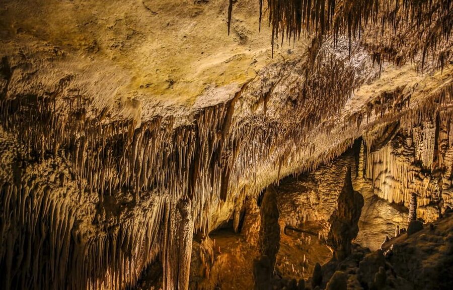 Palma: Caves of Drach Entrance, Music Concert, and Boat Trip - Leaving Palma and meeting the coach