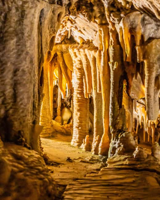 Palma: Caves of Genova Ticket & Digital Audio Guide - The restaurant, parking, and post-cave stop