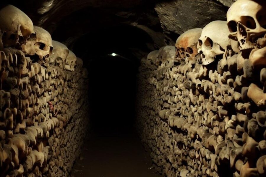 Paris: Catacombs, Audio Guide, and River Cruise Option - Who will enjoy this most
