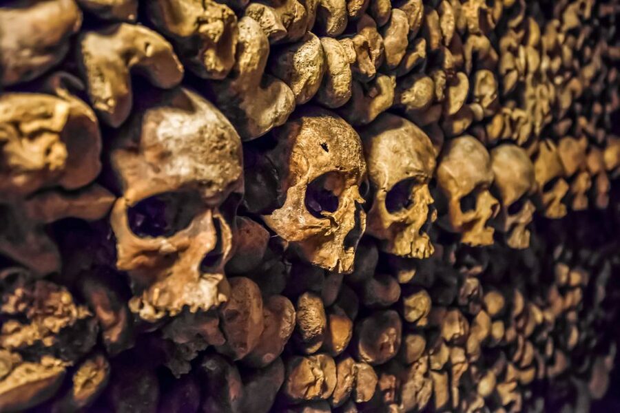 Paris: Catacombs Restricted Access Tour - Key points at a glance