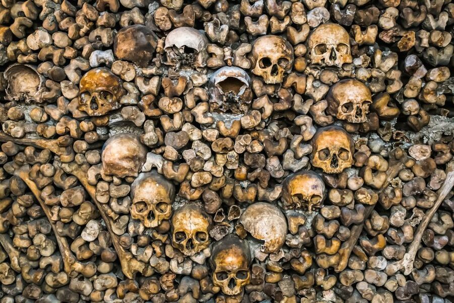 Paris: Catacombs Restricted Access Tour - From Parisian limestone to the Empire of Death