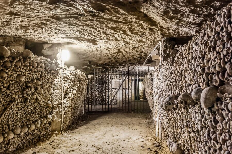 Paris: Catacombs Restricted Access Tour - Who should book this experience?