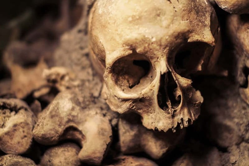 Paris: Catacombs Special Access Tour - Why Paris Built a City of Bones