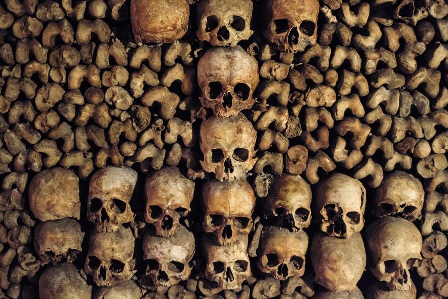 Paris: Catacombs Special Access Tour - Special Access Beyond the Public Route
