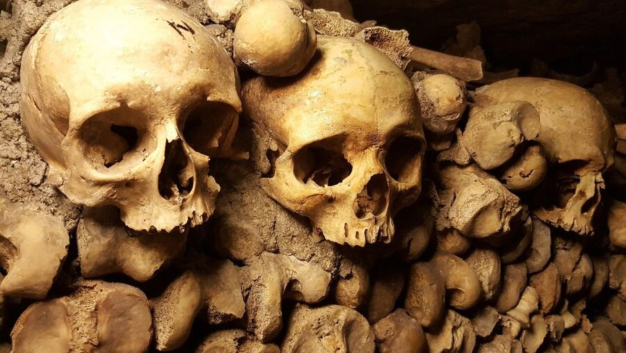 Paris: Catacombs Ticket and Seine River Cruise - Audio guides, crowds, and the level of independence