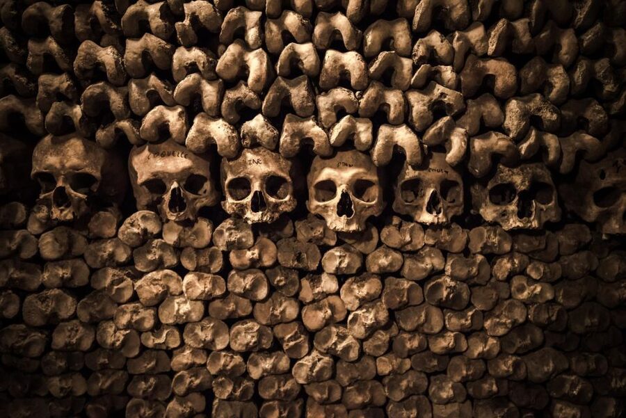 Paris: Catacombs Ticket and Seine River Cruise - Who should book this experience?