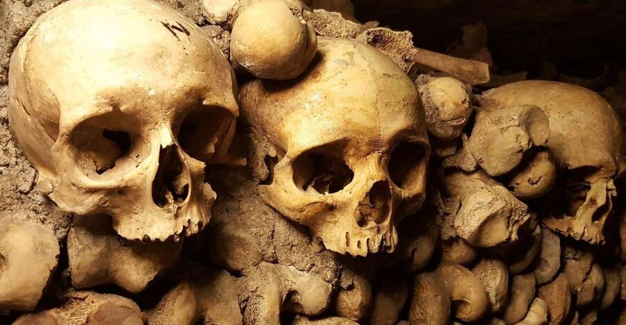 Paris: Catacombs Ticket and Seine River Cruise - Why the Catacombs are the stronger half