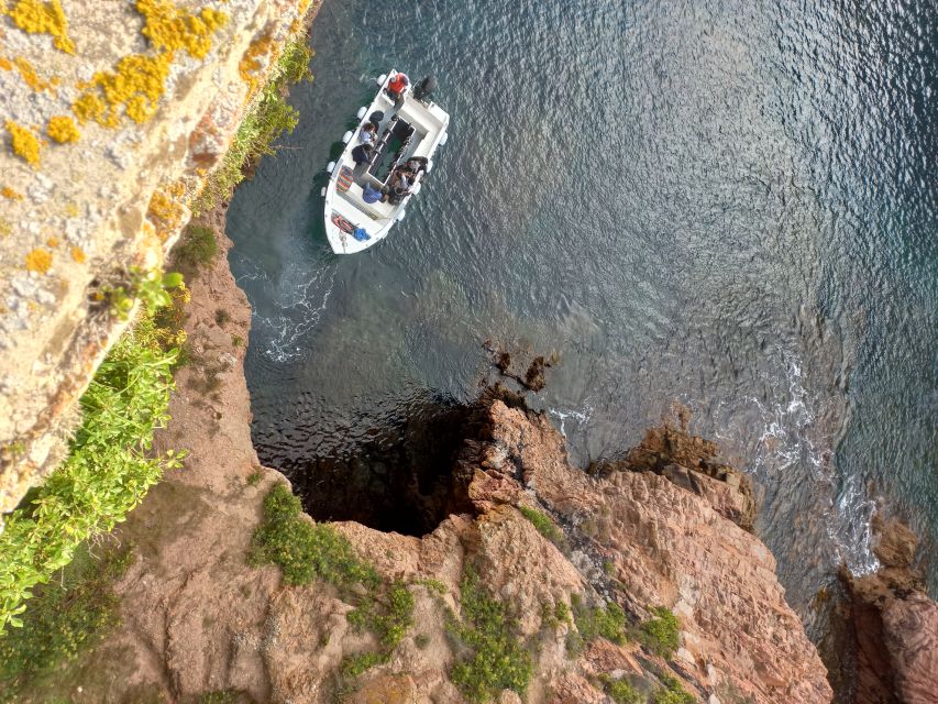 Peniche: Berlengas Roundtrip and Glass-Bottom Boat Cave Tour - Who should book this Berlengas trip?